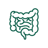 Gut Health & Digestion