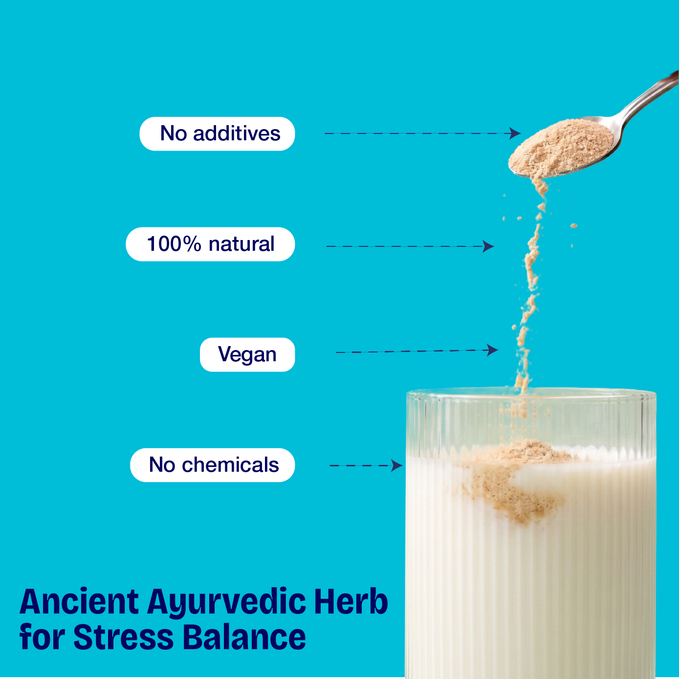 Pure Ashwagandha Powder – The Stone-Ground "Stress-Shield" for Deep Resilience, Vital Energy, and Total Mind-Body Balance