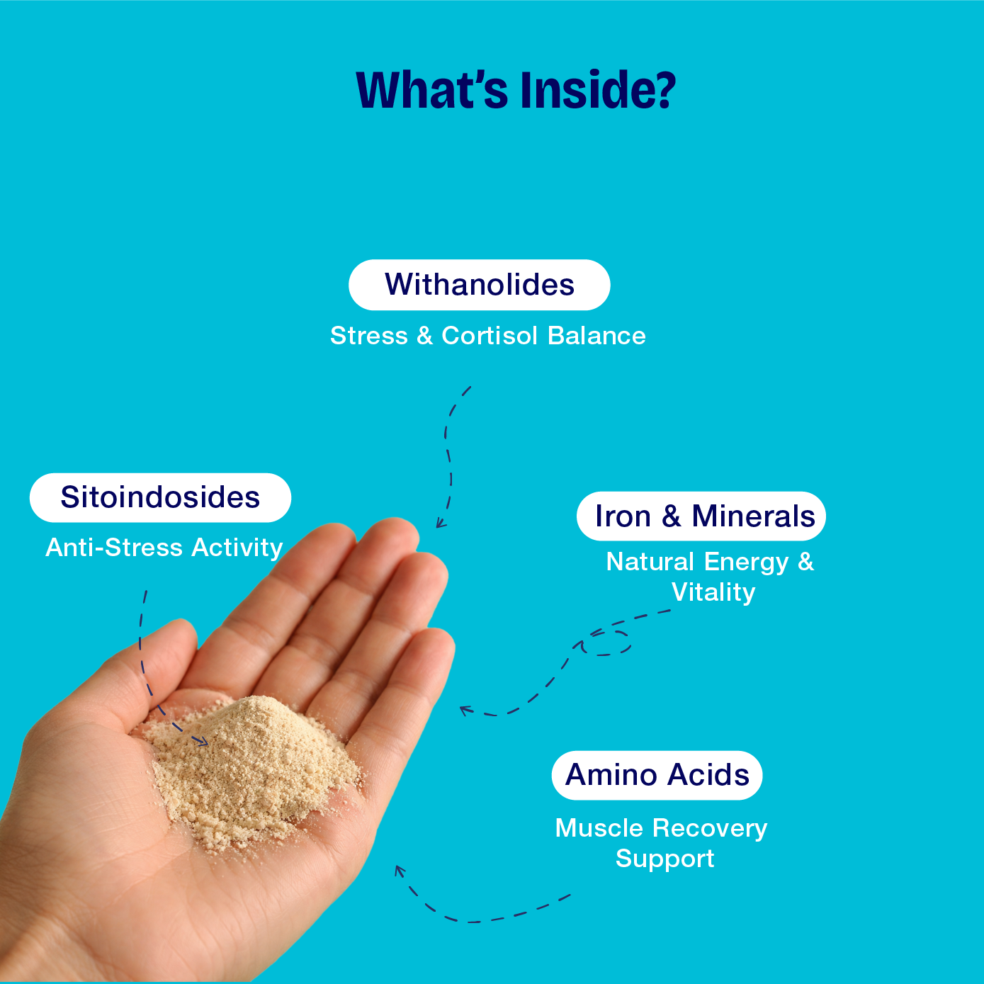 Pure Ashwagandha Powder – The Stone-Ground "Stress-Shield" for Deep Resilience, Vital Energy, and Total Mind-Body Balance