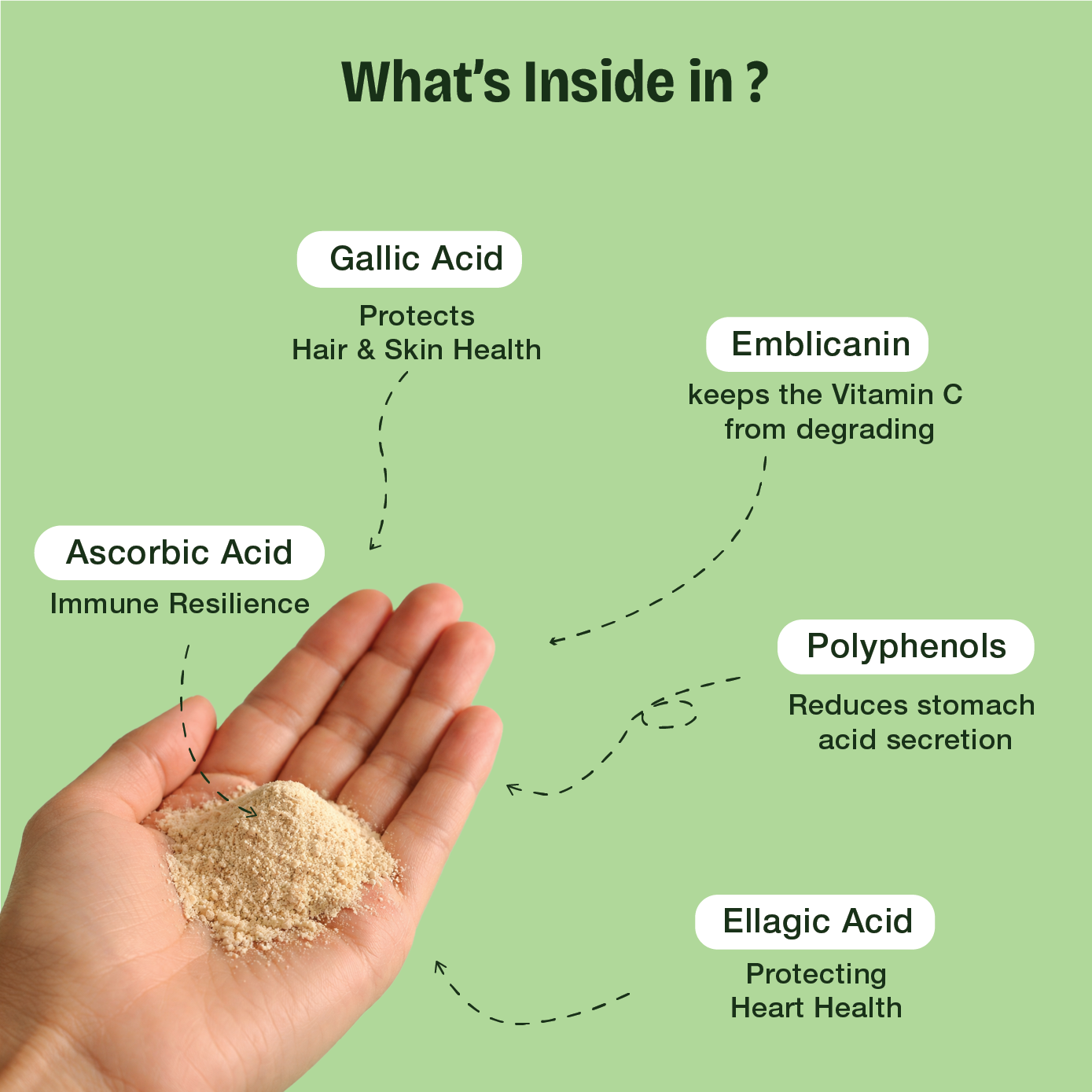 Pure Amla Powder – The Stone-Ground "Vitamin C Powerhouse" for Radiant Skin, Immune Resilience, and Total Vitality