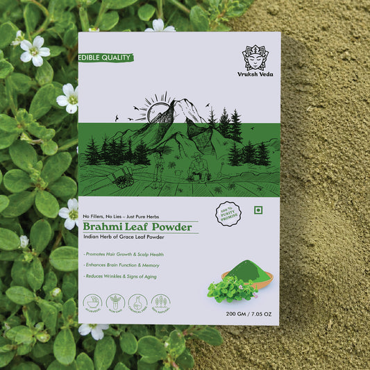 Vruksh Veda Pure Brahmi Powder – The Stone-Ground "Brain Tonic" for Mental Clarity, Sharp Focus, and Natural Stress Resilience