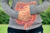 Gut Health & Digestion