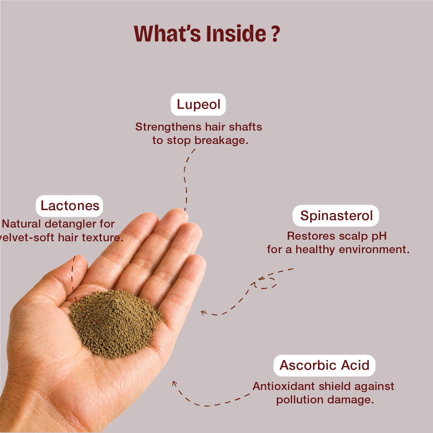 Pure Shikakai Powder – Natural pH-Balanced Cleanser for Silky Texture and Scalp Cooling