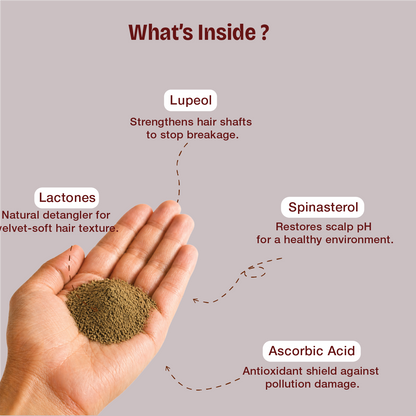 Pure Shikakai Powder – Natural pH-Balanced Cleanser for Silky Texture and Scalp Cooling
