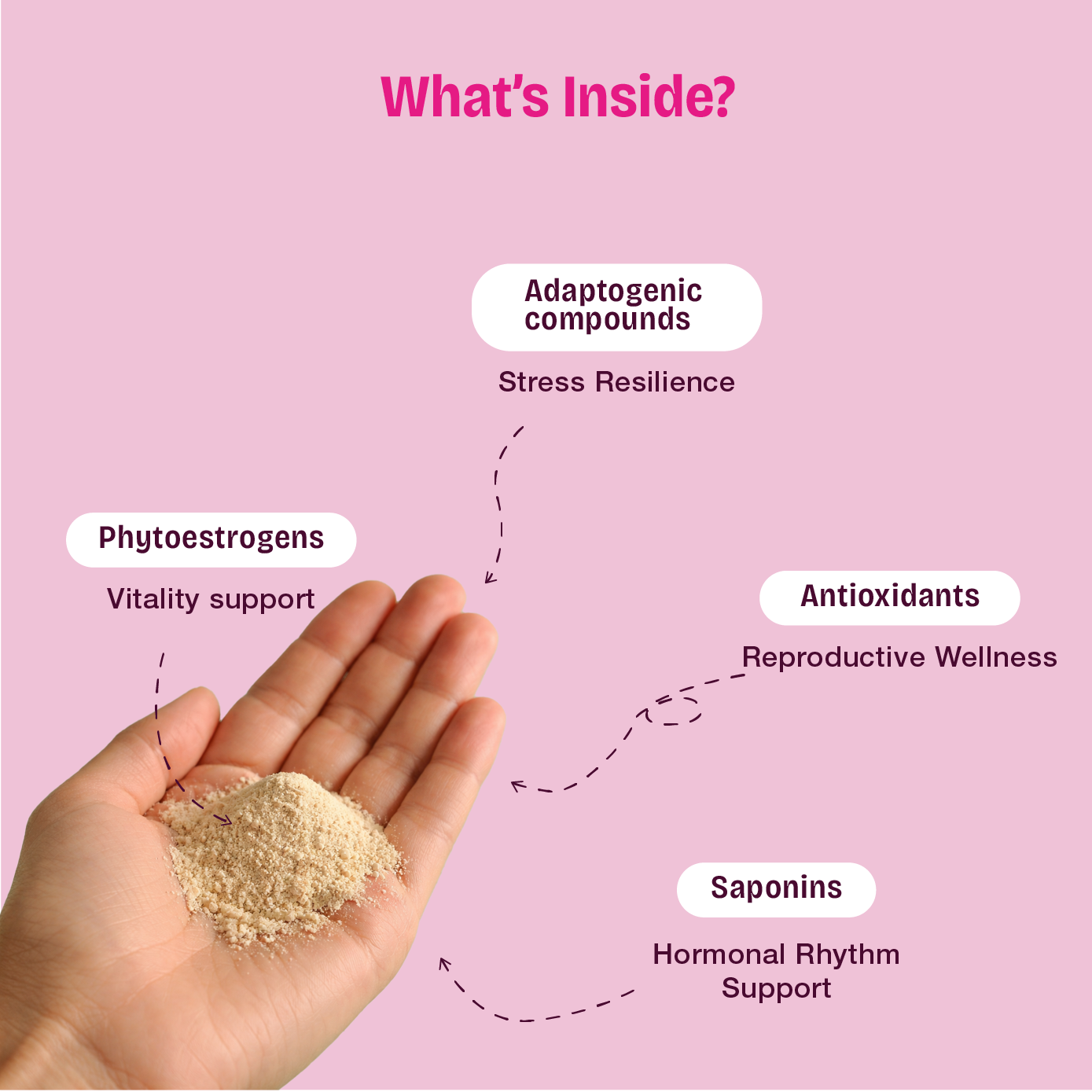 Shatavari Root Powder for Hormonal Balance & Women’s Wellness
