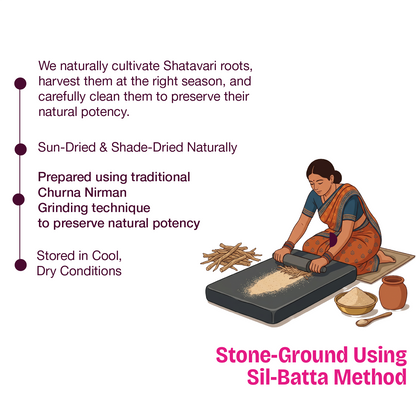 Shatavari Root Powder for Hormonal Balance & Women’s Wellness