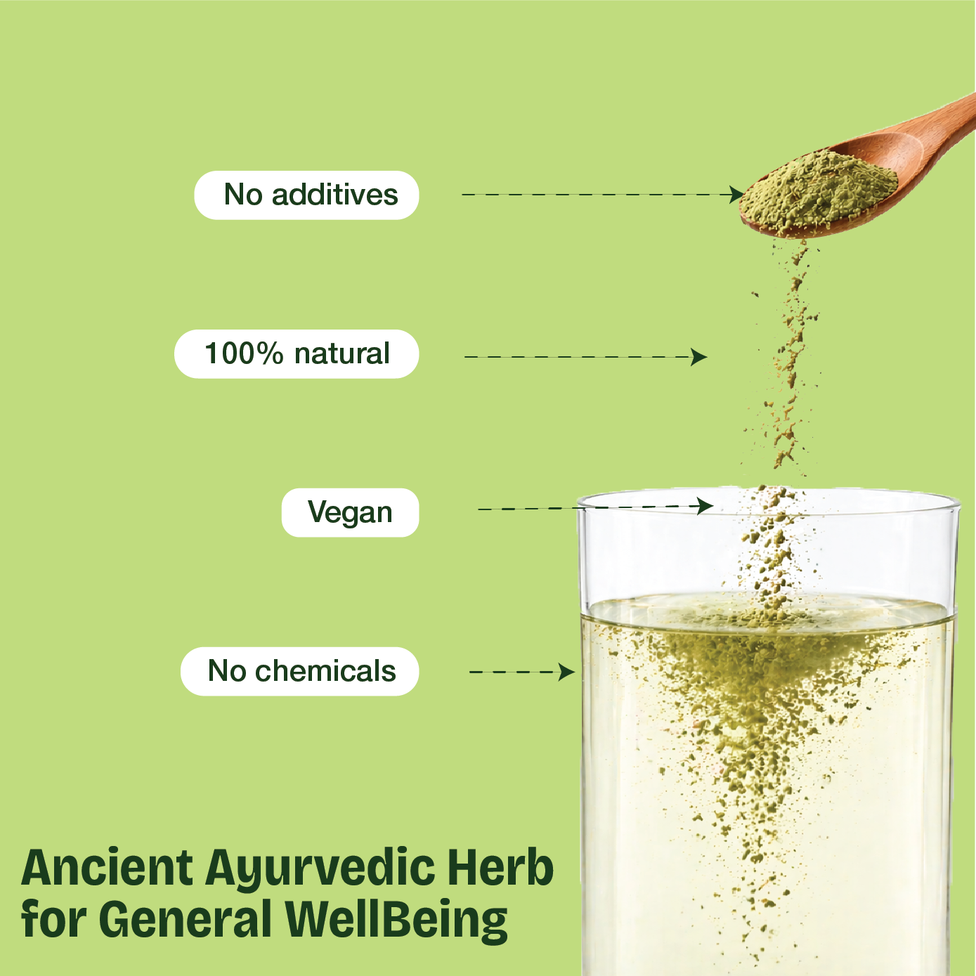 Natural Moringa Powder – The Stone-Ground "Superfood" for Natural Immunity, Daily Energy, and Cellular Detox