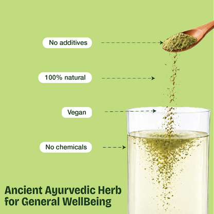 Natural Moringa Powder – The Stone-Ground "Superfood" for Natural Immunity, Daily Energy, and Cellular Detox