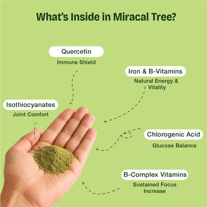 Natural Moringa Powder – The Stone-Ground "Superfood" for Natural Immunity, Daily Energy, and Cellular Detox