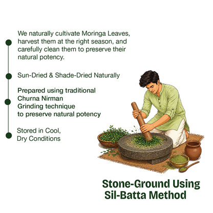 Natural Moringa Powder – The Stone-Ground "Superfood" for Natural Immunity, Daily Energy, and Cellular Detox