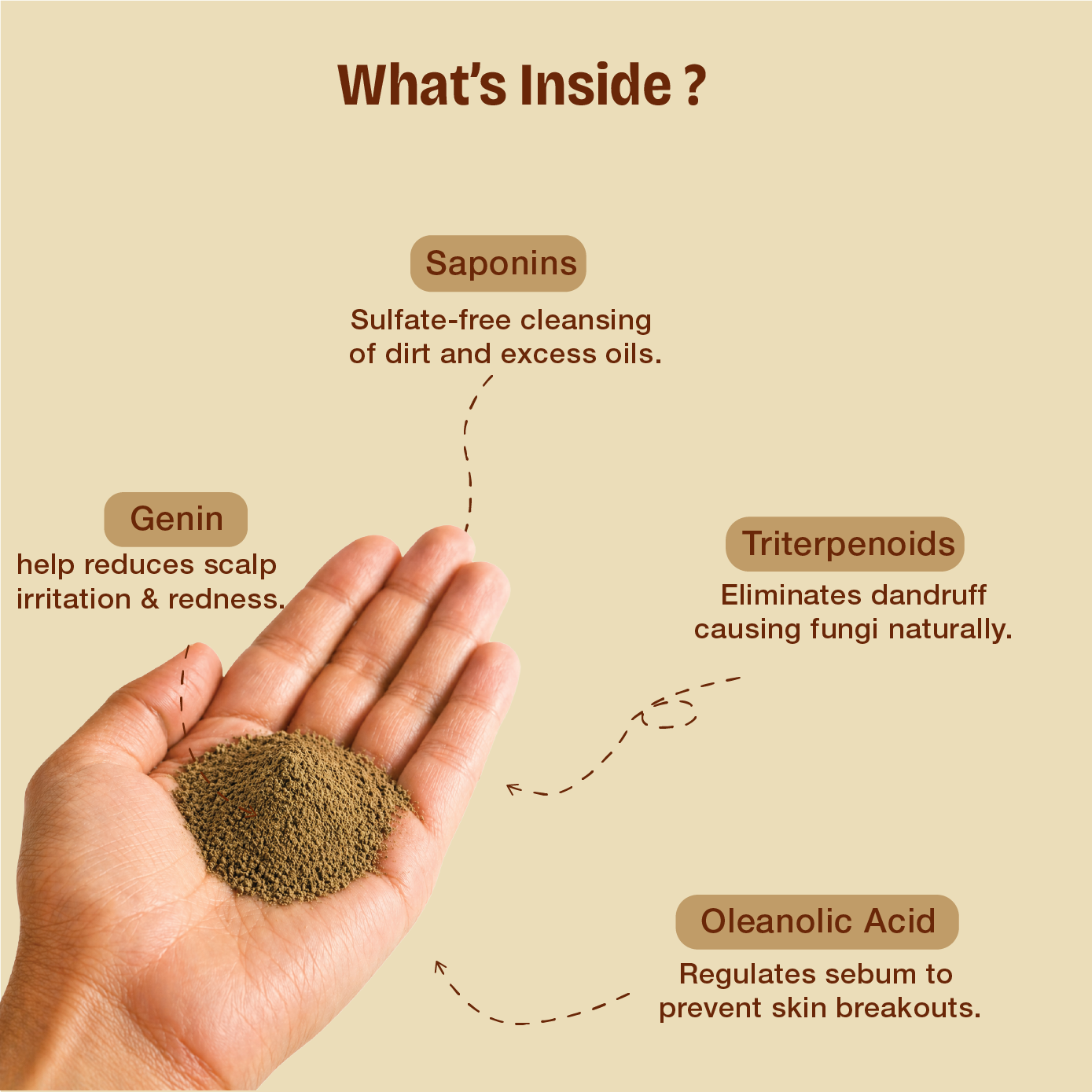Pure Reetha Powder – Natural Hair Cleanser for Scalp Health and Chemical-Free Shine